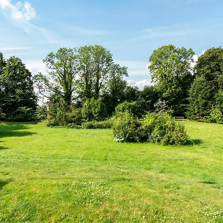 Gorgeous In With Wifi